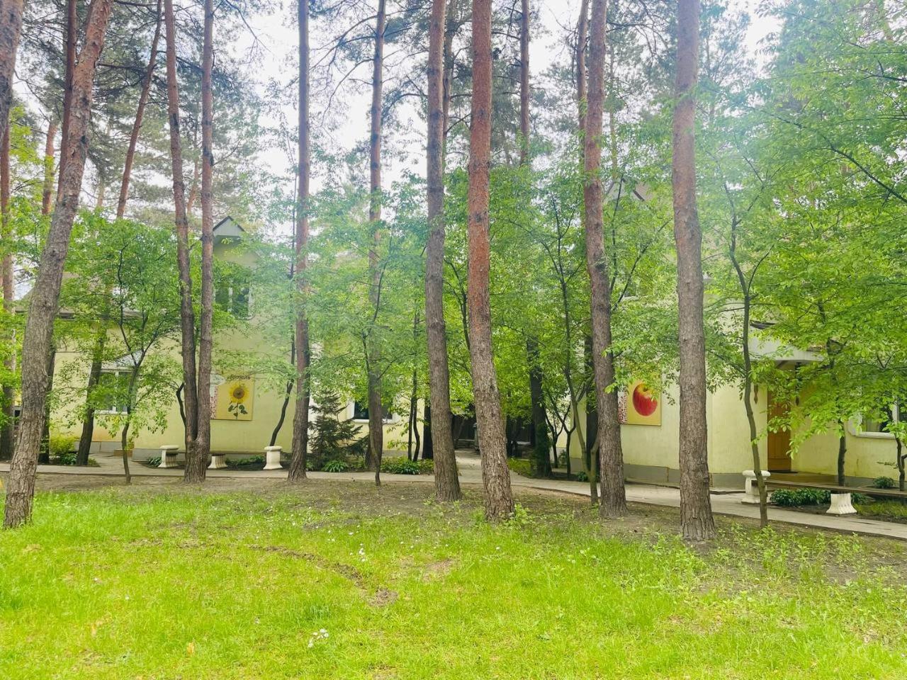 Ethno Complex Ukrayinske Selo Hotel Buzovaya Luaran gambar